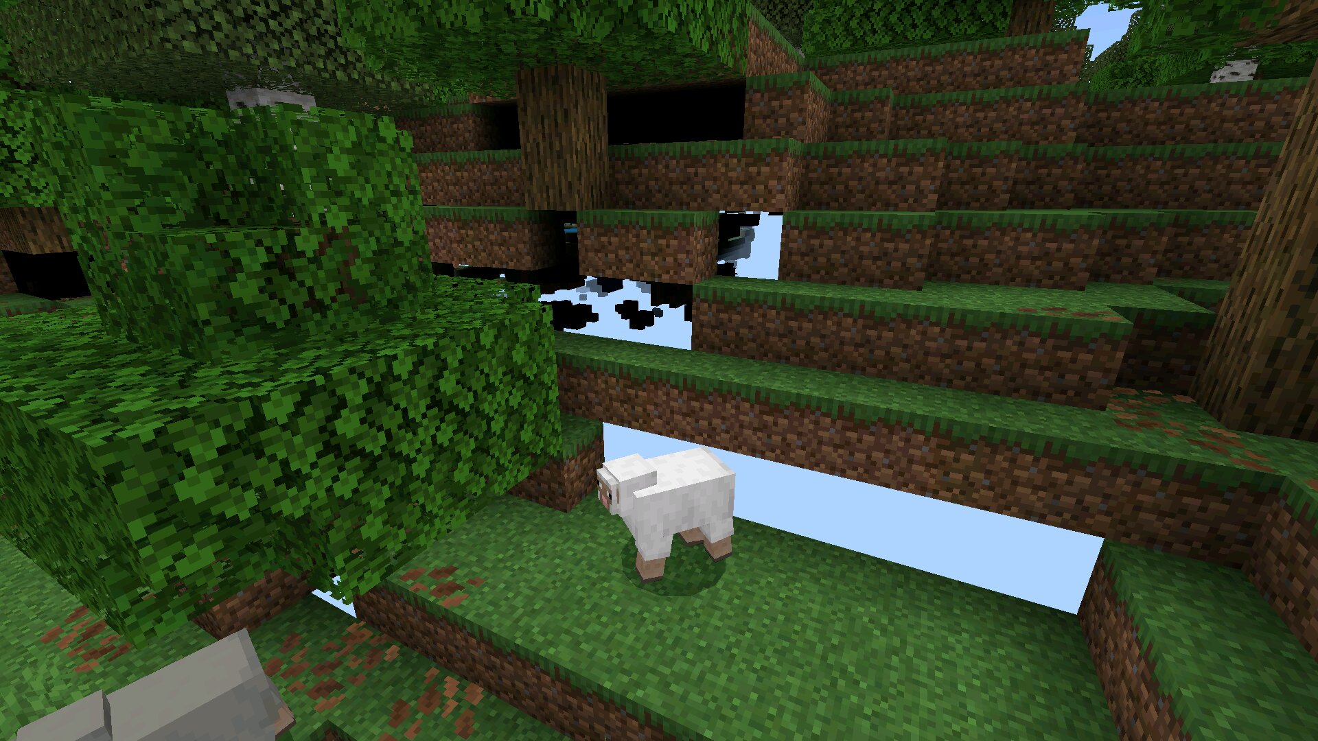 Просветка из чита икс рей в Майнкрафт ПЕ