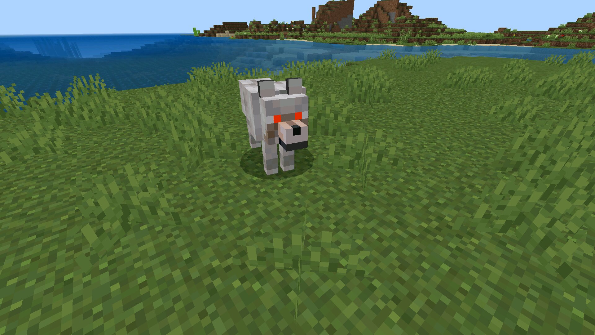 Волк из мода на Skinwalker в Майнкрафт ПЕ