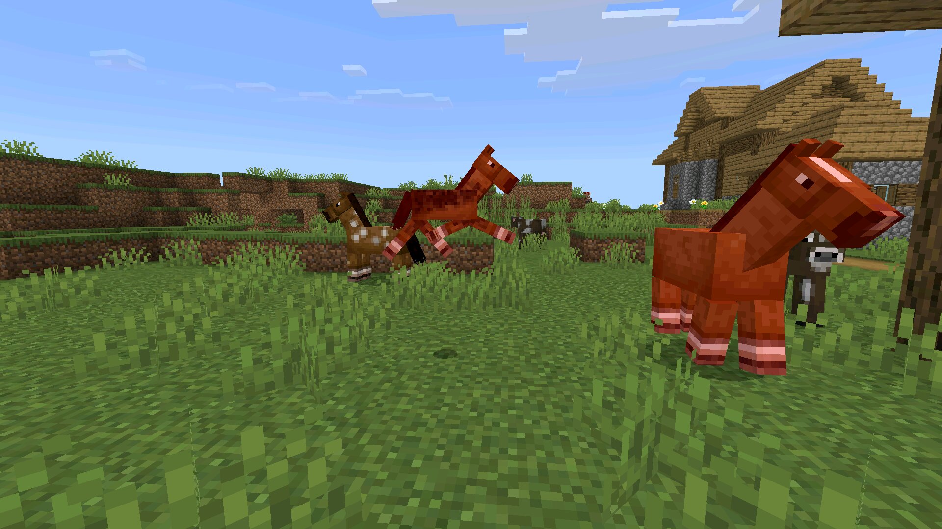 Лошадка из чита Аура в Майнкрафт ПЕ