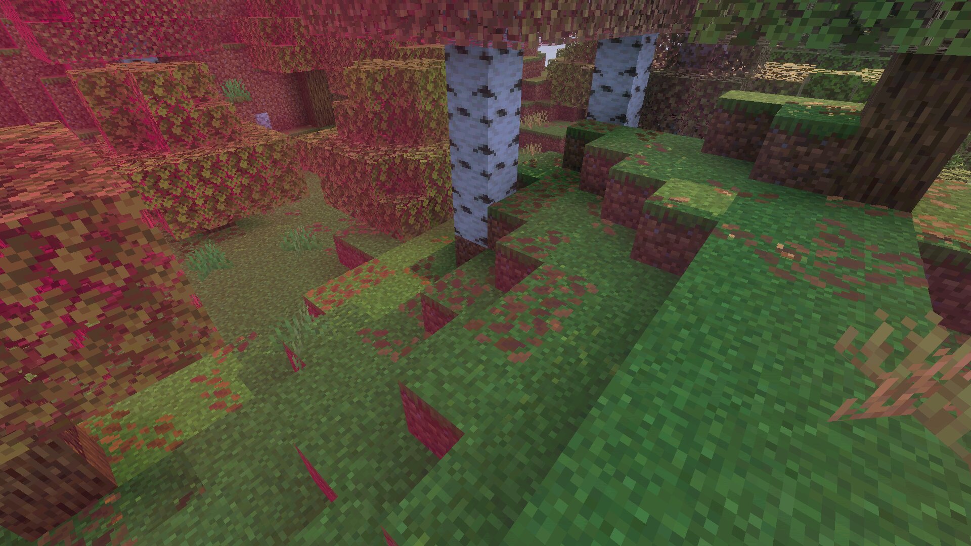 Трава из шейдера Комплементари в Minecraft PE Трава из шейдера Комплементари в Майнкрафт ПЕ