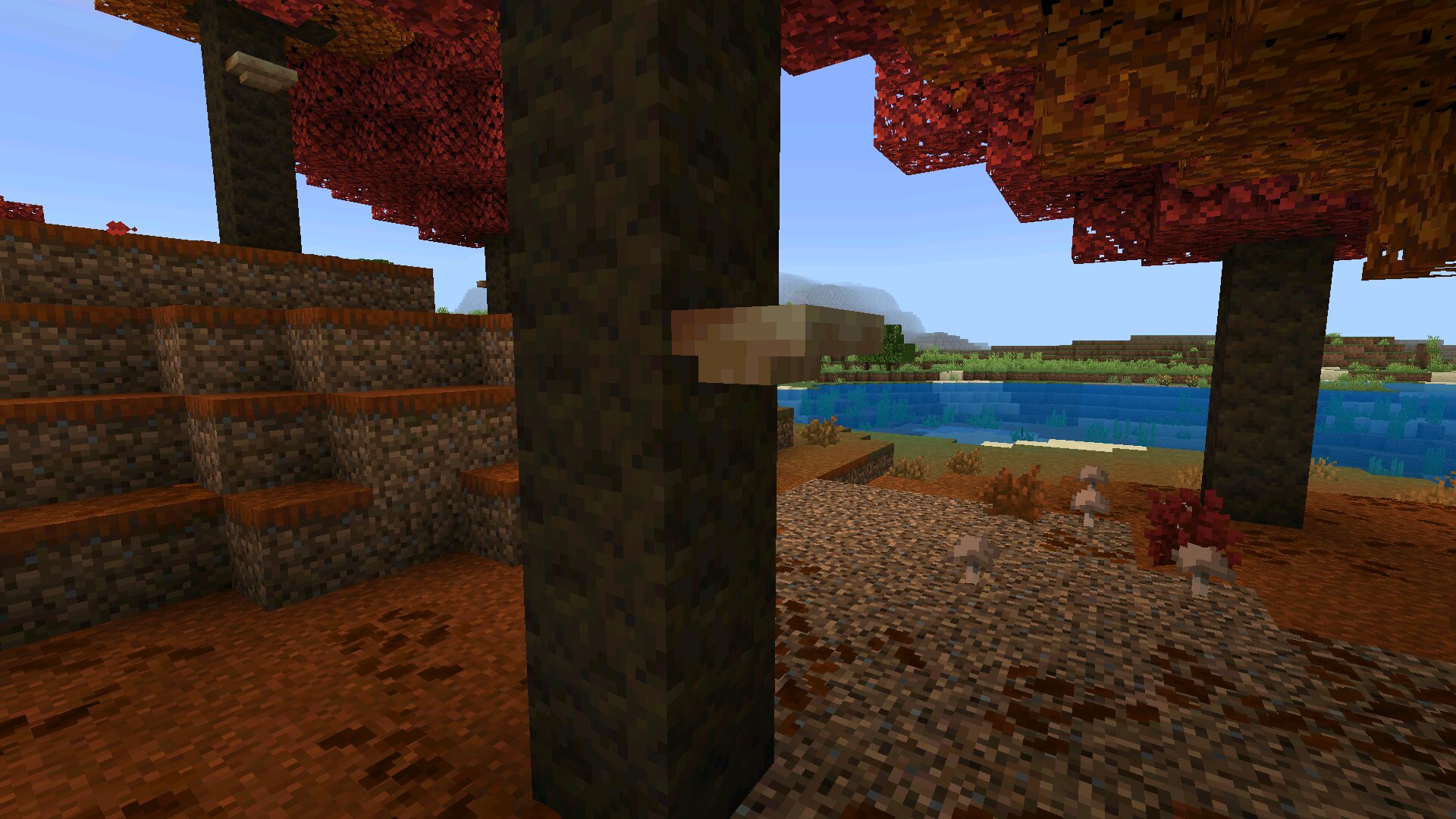 Трутовик из Minecraft 26.40 Трутовик из Майнкрафт 26.40