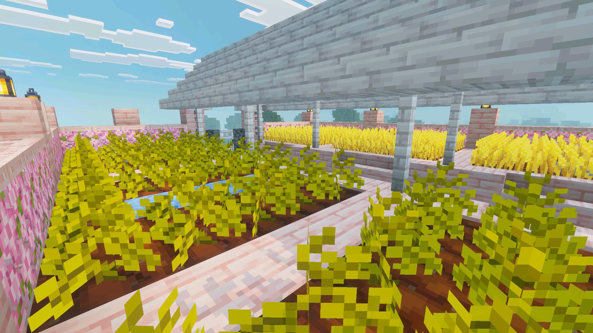 Огород из Карты Современного дома для Minecraft Bedrock Огород из Карты Современного дома для Майнкрафт Бедрок